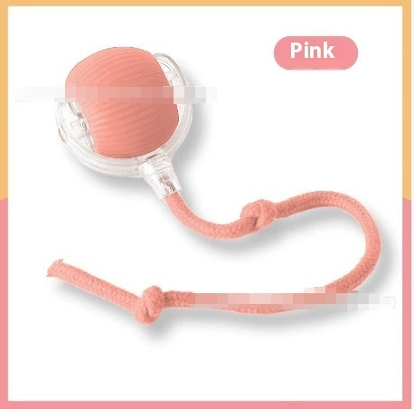 Electric Automatic Rolling Cat Toy