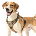 Dog Harness For Large Dogs No Pull Tactical